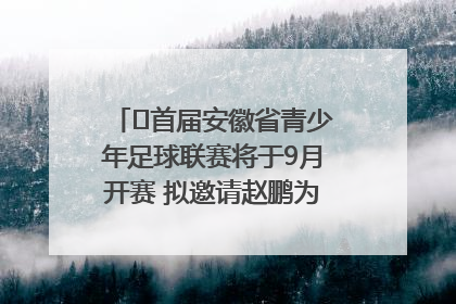 ﻿首届安徽省青少年足球联赛将于9月开赛 拟邀请赵鹏为先导赛开球